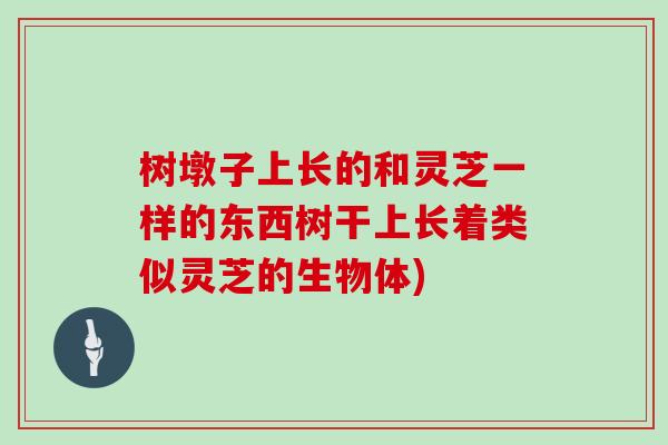 树墩子上长的和灵芝一样的东西树干上长着类似灵芝的生物体)
