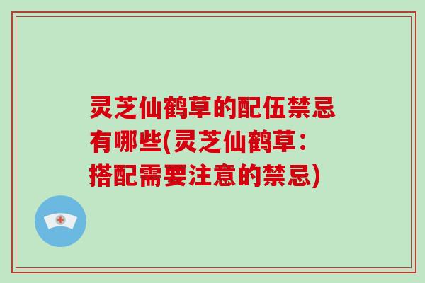灵芝仙鹤草的配伍禁忌有哪些(灵芝仙鹤草：搭配需要注意的禁忌)