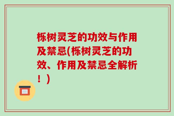 栎树灵芝的功效与作用及禁忌(栎树灵芝的功效、作用及禁忌全解析!)
