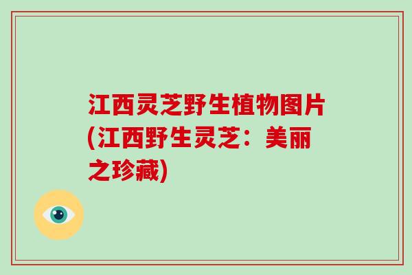 江西灵芝野生植物图片(江西野生灵芝：美丽之珍藏)