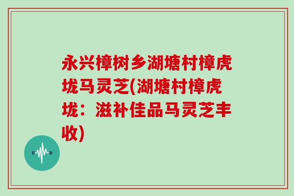 永兴樟树乡湖塘村樟虎垅马灵芝(湖塘村樟虎垅：滋补佳品马灵芝丰收)