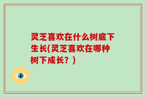 灵芝喜欢在什么树底下生长(灵芝喜欢在哪种树下成长？)