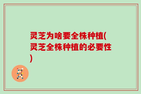 灵芝为啥要全株种植(灵芝全株种植的必要性)