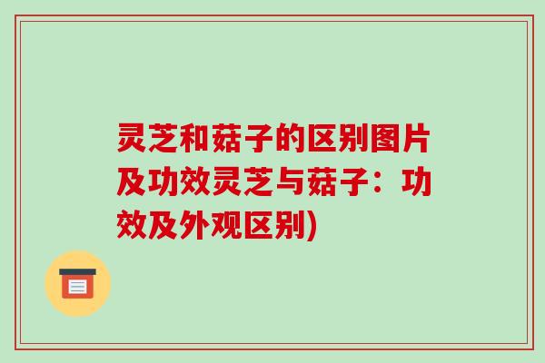 灵芝和菇子的区别图片及功效灵芝与菇子:功效及外观区别)