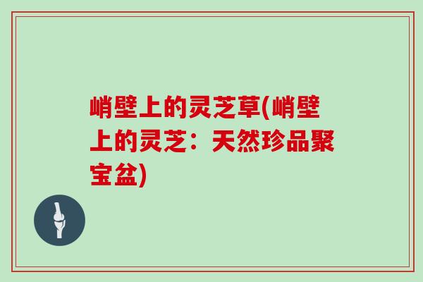 峭壁上的灵芝草(峭壁上的灵芝:天然珍品聚宝盆)