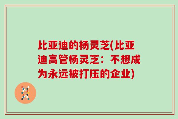 比亚迪的杨灵芝(比亚迪高管杨灵芝:不想成为永远被打压的企业)