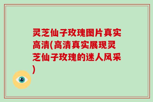 灵芝仙子玫瑰图片真实高清(高清真实展现灵芝仙子玫瑰的迷人风采)
