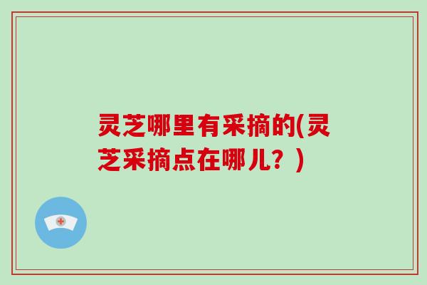 灵芝哪里有采摘的(灵芝采摘点在哪儿?)