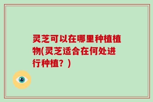 灵芝可以在哪里种植植物(灵芝适合在何处进行种植?)