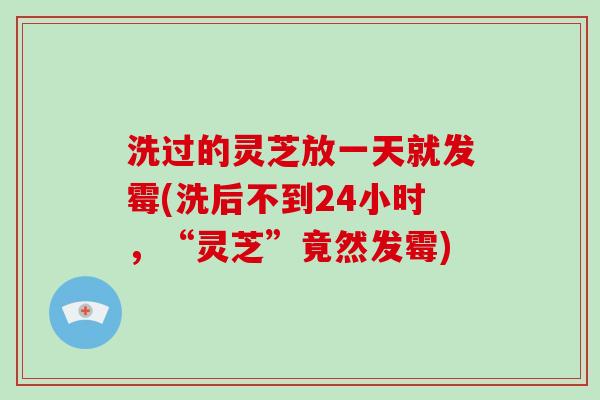 洗过的灵芝放一天就发霉(洗后不到24小时,“灵芝”竟然发霉)