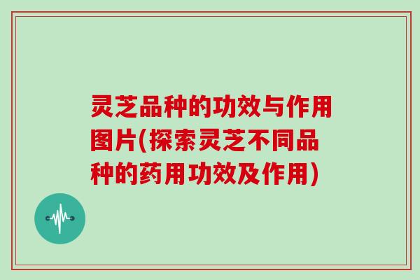 灵芝品种的功效与作用图片(探索灵芝不同品种的药用功效及作用)