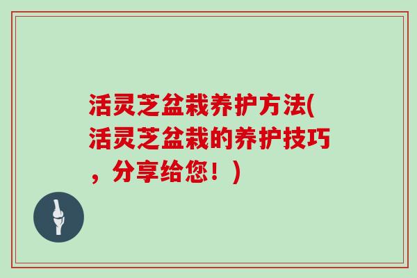 活灵芝盆栽养护方法(活灵芝盆栽的养护技巧,分享给您!)