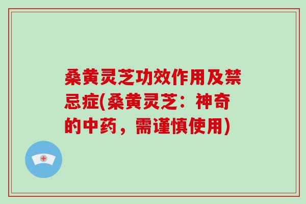 桑黄灵芝功效作用及禁忌症(桑黄灵芝：神奇的中药，需谨慎使用)