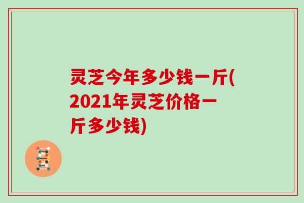灵芝今年多少钱一斤(2021年灵芝价格一斤多少钱)