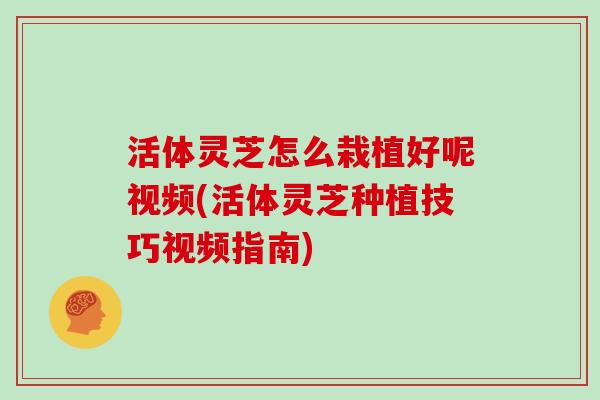 活体灵芝怎么栽植好呢视频(活体灵芝种植技巧视频指南)