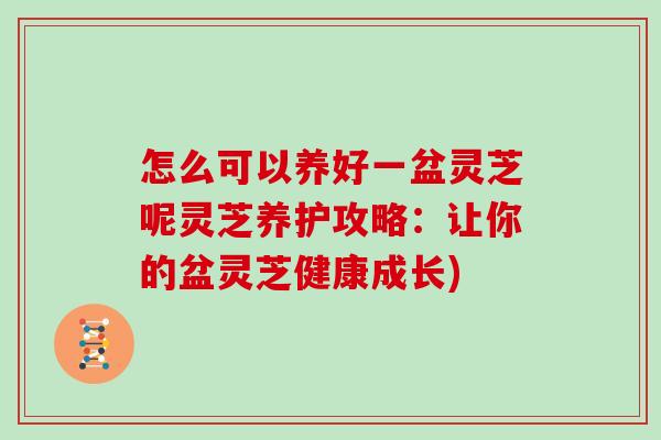 怎么可以养好一盆灵芝呢灵芝养护攻略:让你的盆灵芝健康成长)
