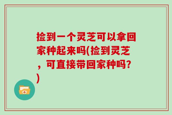 捡到一个灵芝可以拿回家种起来吗(捡到灵芝，可直接带回家种吗？)