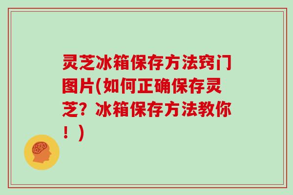 灵芝冰箱保存方法窍门图片(如何正确保存灵芝?冰箱保存方法教你!)