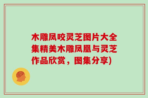 木雕凤咬灵芝图片大全集精美木雕凤凰与灵芝作品欣赏,图集分享)