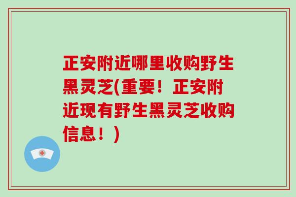 正安附近哪里收购野生黑灵芝(重要!正安附近现有野生黑灵芝收购信息!)