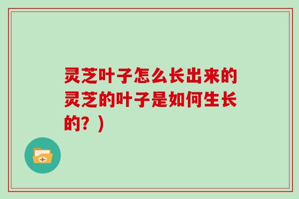 灵芝叶子怎么长出来的灵芝的叶子是如何生长的?)