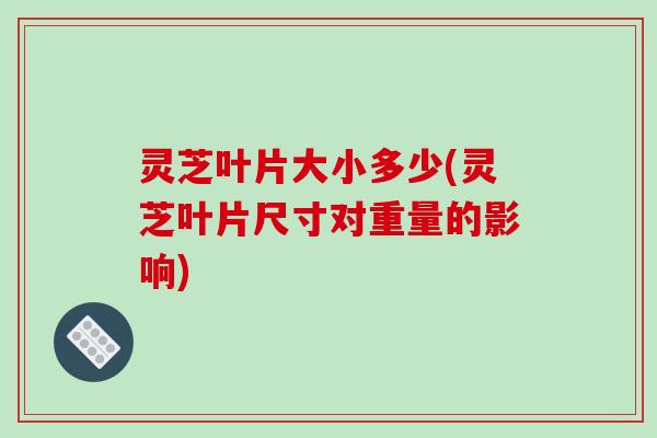 灵芝叶片大小多少(灵芝叶片尺寸对重量的影响)