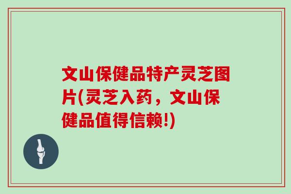 文山保健品特产灵芝图片(灵芝入药,文山保健品值得信赖!)