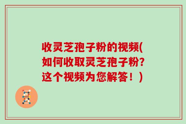 收灵芝孢子粉的视频(如何收取灵芝孢子粉?这个视频为您解答!)