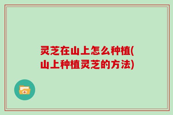 灵芝在山上怎么种植(山上种植灵芝的方法)