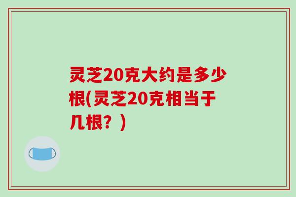 灵芝20克大约是多少根(灵芝20克相当于几根?)