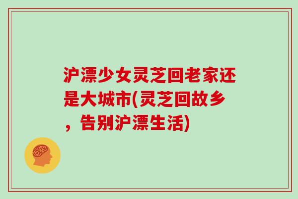 沪漂少女灵芝回老家还是大城市(灵芝回故乡，告别沪漂生活)
