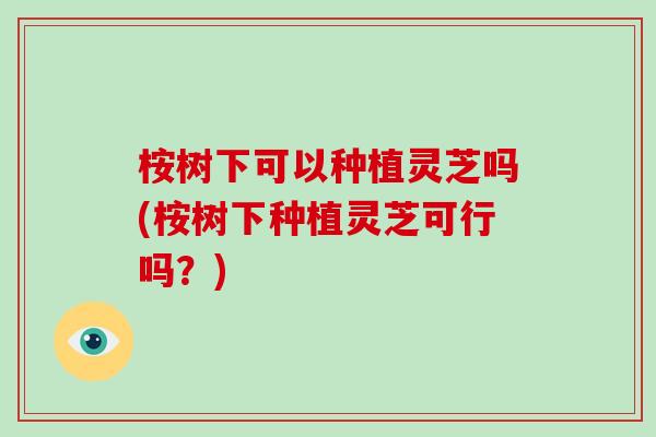 桉树下可以种植灵芝吗(桉树下种植灵芝可行吗?)