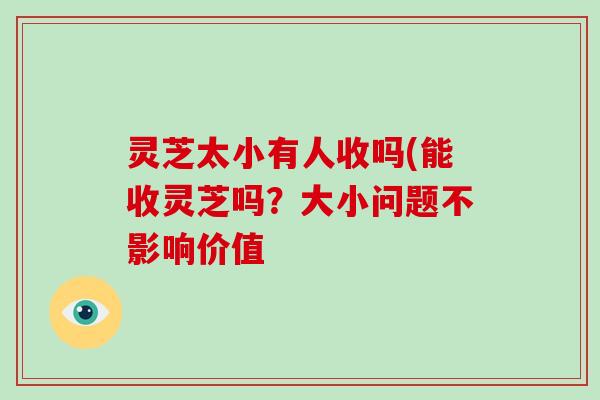 灵芝太小有人收吗(能收灵芝吗?大小问题不影响价值