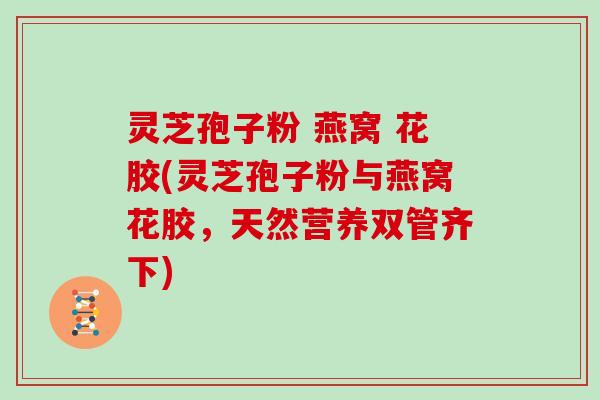 灵芝孢子粉 燕窝 花胶(灵芝孢子粉与燕窝花胶，天然营养双管齐下)