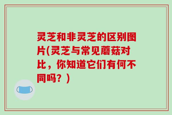 灵芝和非灵芝的区别图片(灵芝与常见蘑菇对比，你知道它们有何不同吗？)