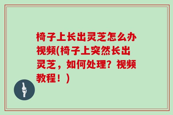 椅子上长出灵芝怎么办视频(椅子上突然长出灵芝，如何处理？视频教程！)