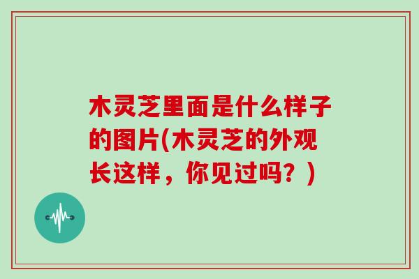 木灵芝里面是什么样子的图片(木灵芝的外观长这样,你见过吗?)