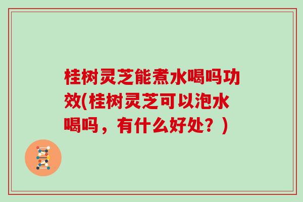 桂树灵芝能煮水喝吗功效(桂树灵芝可以泡水喝吗,有什么好处?)