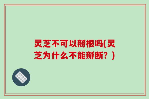 灵芝不可以掰根吗(灵芝为什么不能掰断？)