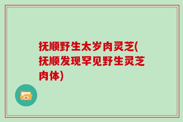抚顺野生太岁肉灵芝(抚顺发现罕见野生灵芝肉体)