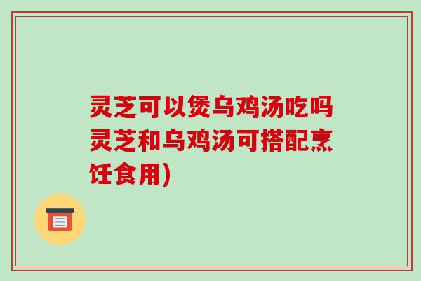 灵芝可以煲乌鸡汤吃吗灵芝和乌鸡汤可搭配烹饪食用)