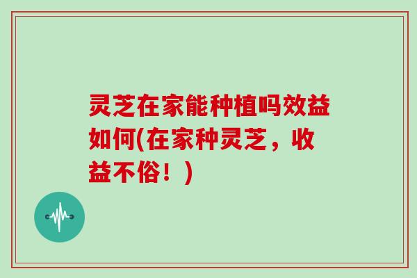 灵芝在家能种植吗效益如何(在家种灵芝,收益不俗!)