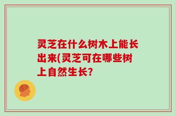 灵芝在什么树木上能长出来(灵芝可在哪些树上自然生长?