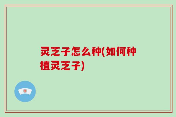 灵芝子怎么种(如何种植灵芝子)