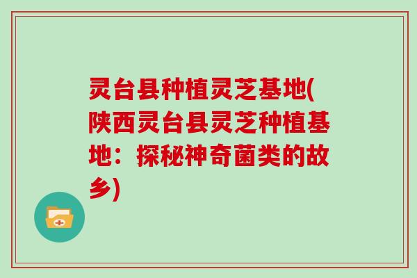 灵台县种植灵芝基地(陕西灵台县灵芝种植基地:探秘神奇菌类的故乡)