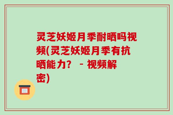 灵芝妖姬月季耐晒吗视频(灵芝妖姬月季有抗晒能力？ - 视频解密)