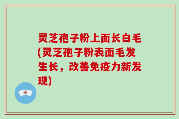 灵芝孢子粉上面长白毛(灵芝孢子粉表面毛发生长,改善免疫力新发现)
