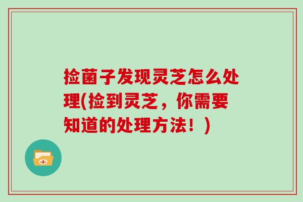 捡菌子发现灵芝怎么处理(捡到灵芝,你需要知道的处理方法!)