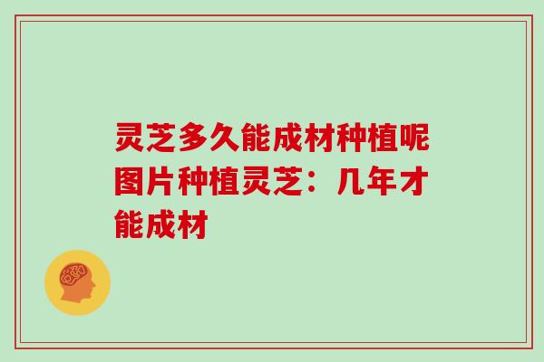 灵芝多久能成材种植呢图片种植灵芝:几年才能成材