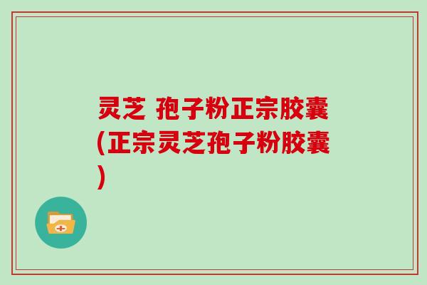 灵芝 孢子粉正宗胶囊(正宗灵芝孢子粉胶囊)